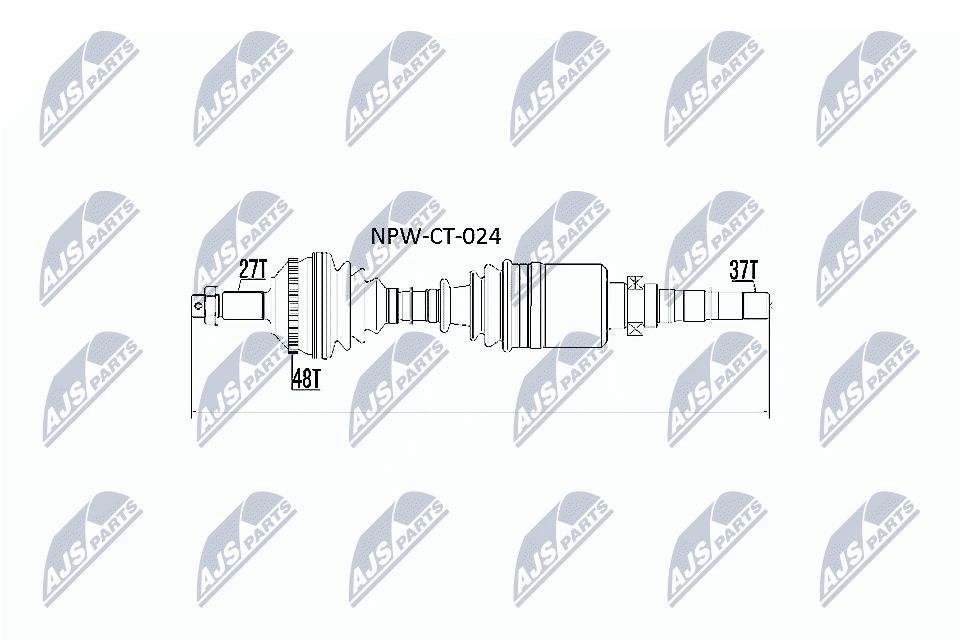 NPW-CT-024