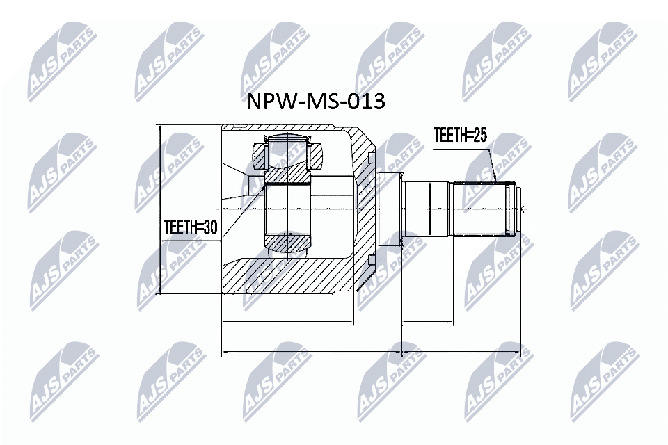 NPW-MS-013
