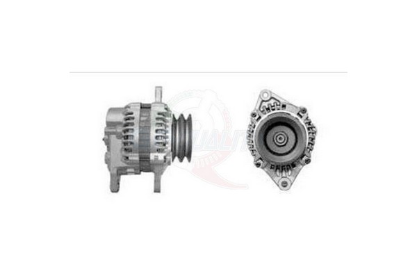 ALGE01165