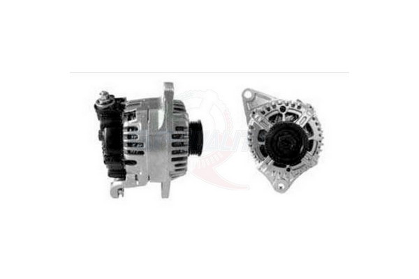 ALGE01693
