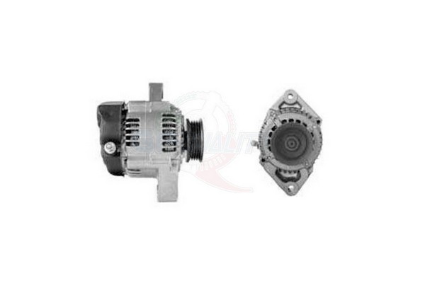 ALGE00260