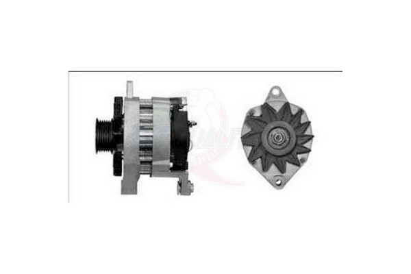ALVA00179