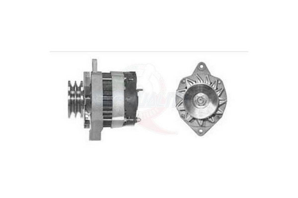 ALGE00484