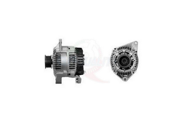 ALGE00551