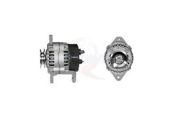 ALGE00238