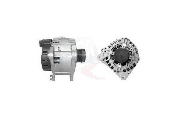 ALGE00179
