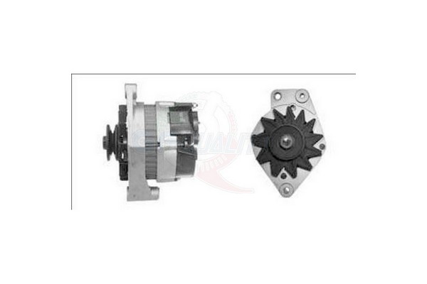 ALGE00202
