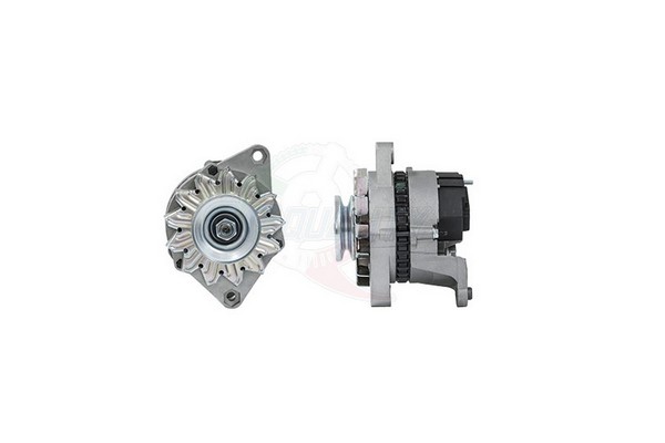 ALIT00010
