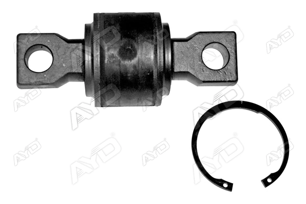 52RS002907-P2