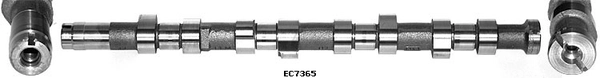 1271167G00000