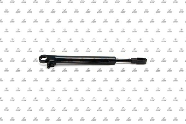 BZT28.00085