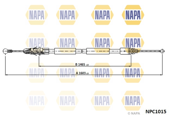 NPC1015