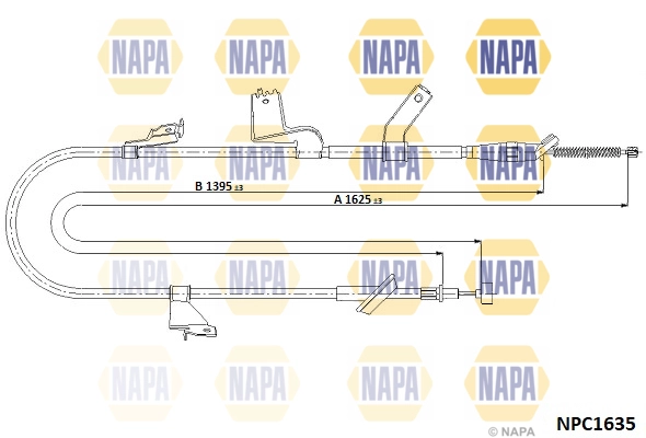 NPC1635
