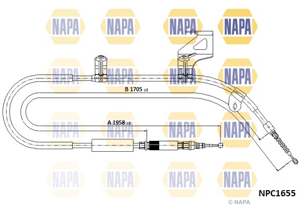 NPC1655