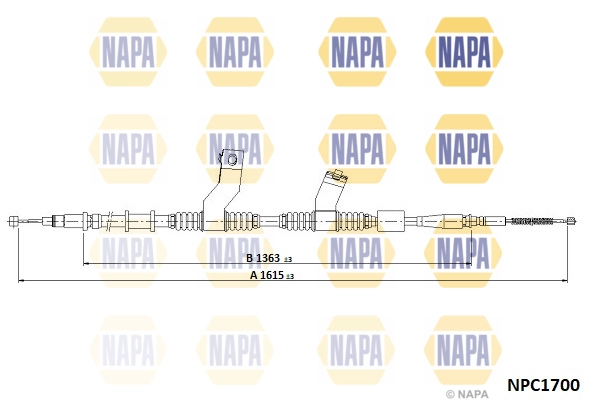 NPC1700