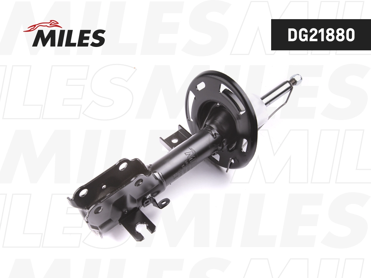DG21880