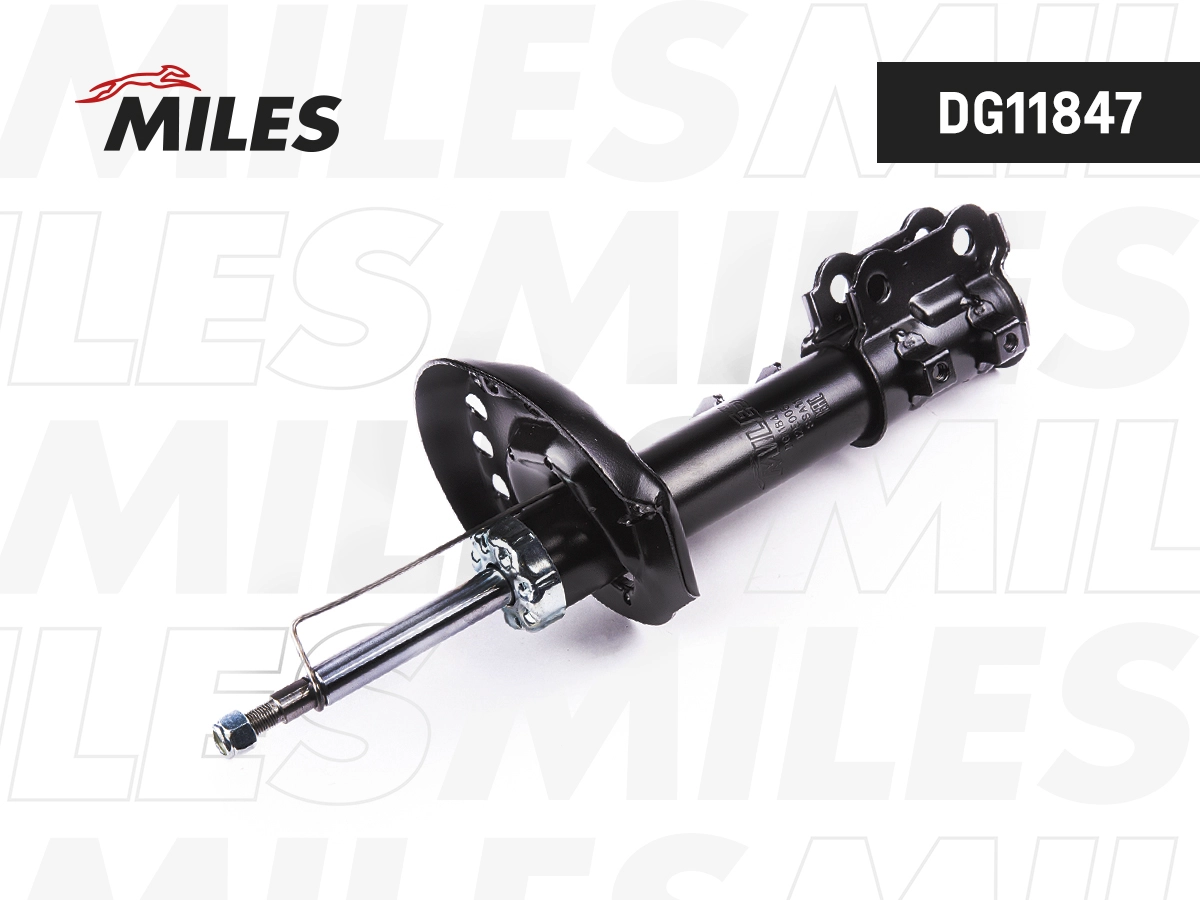 DG11847