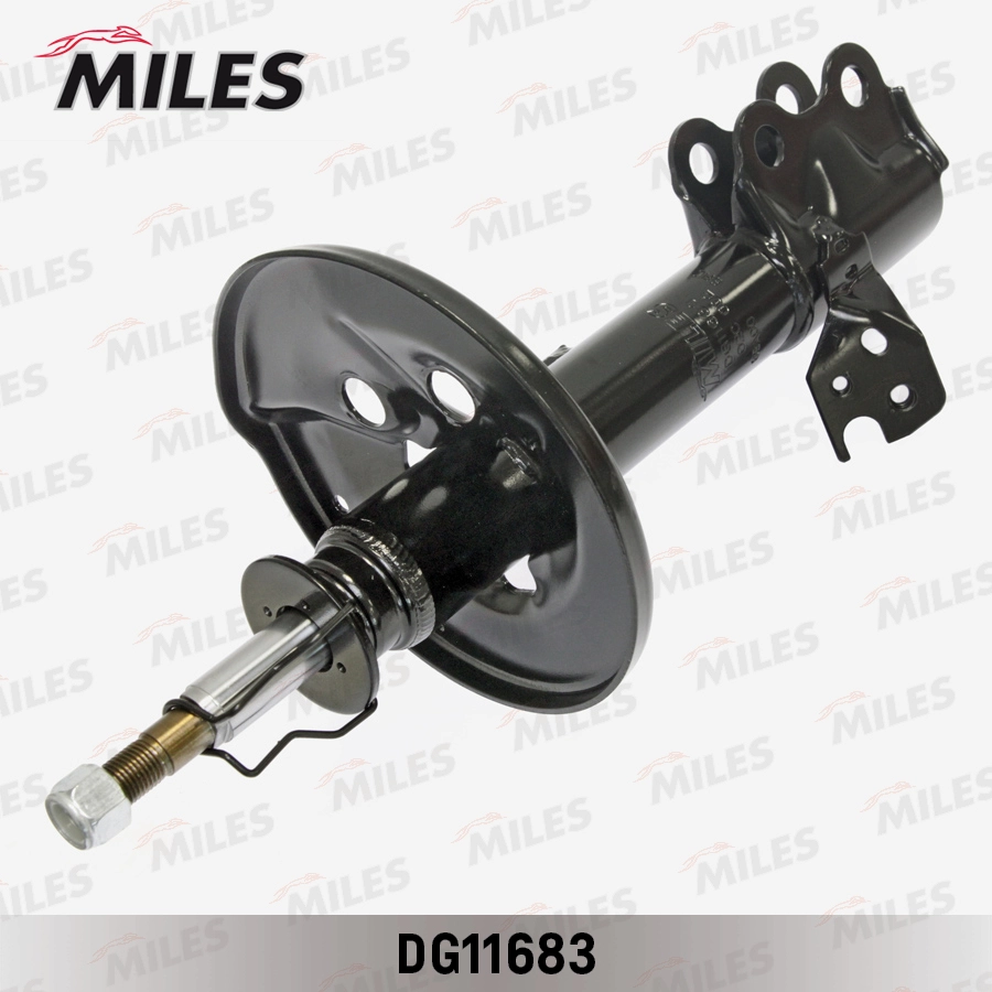 DG11683