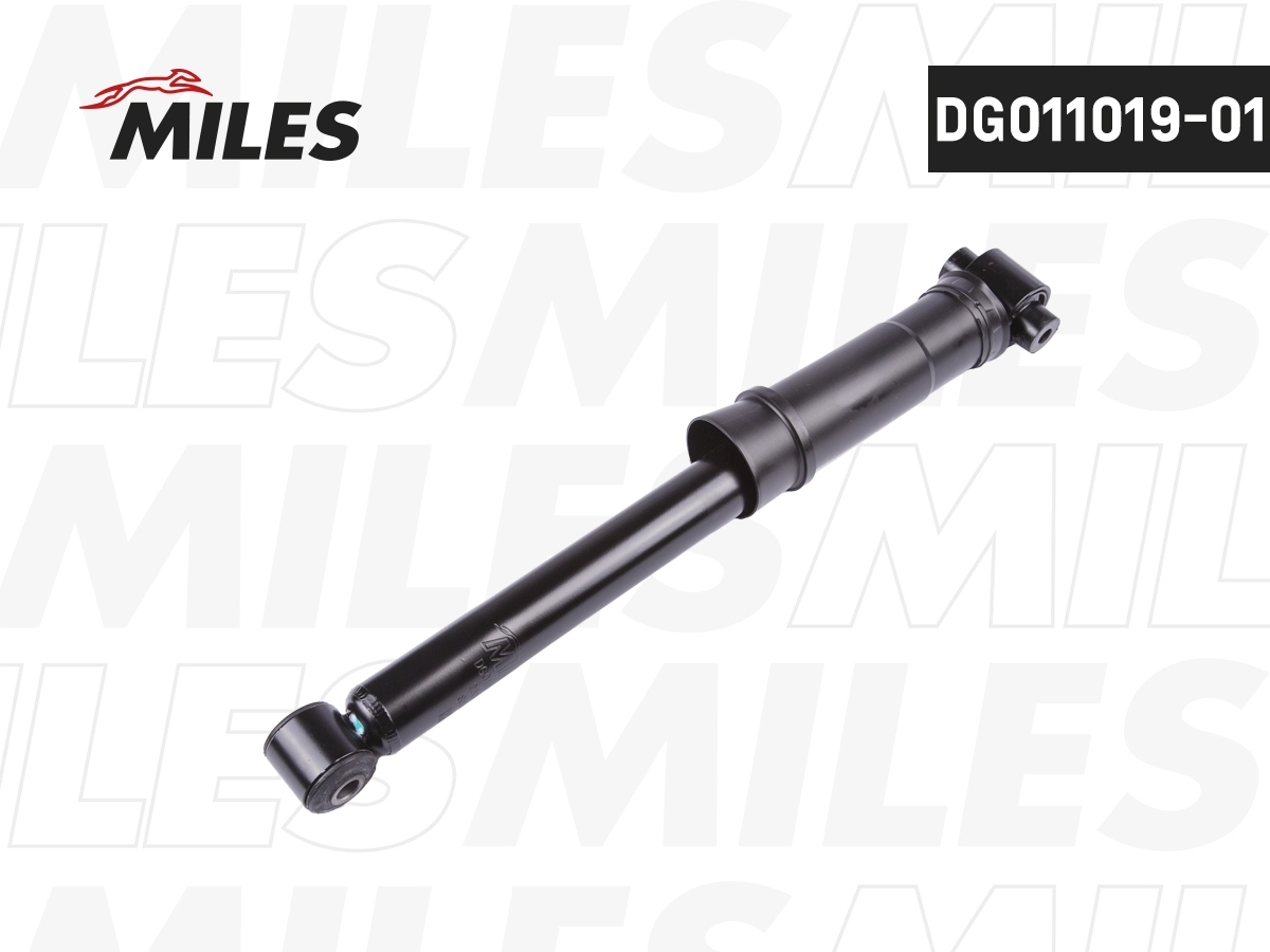 DG011019-01