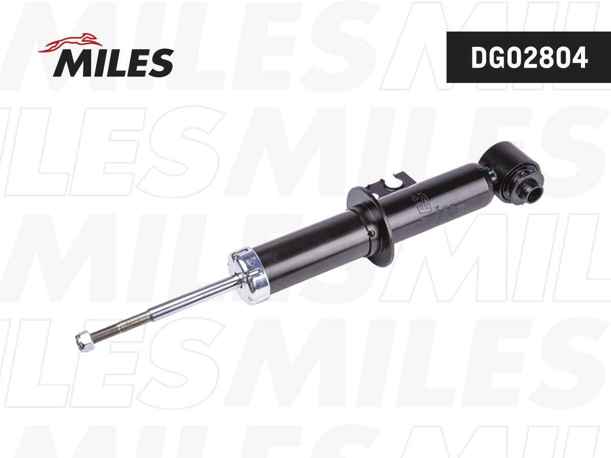 DG02804