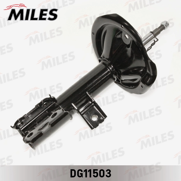 DG11503