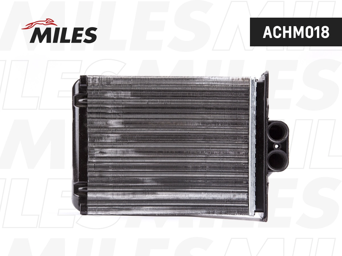 ACHM018