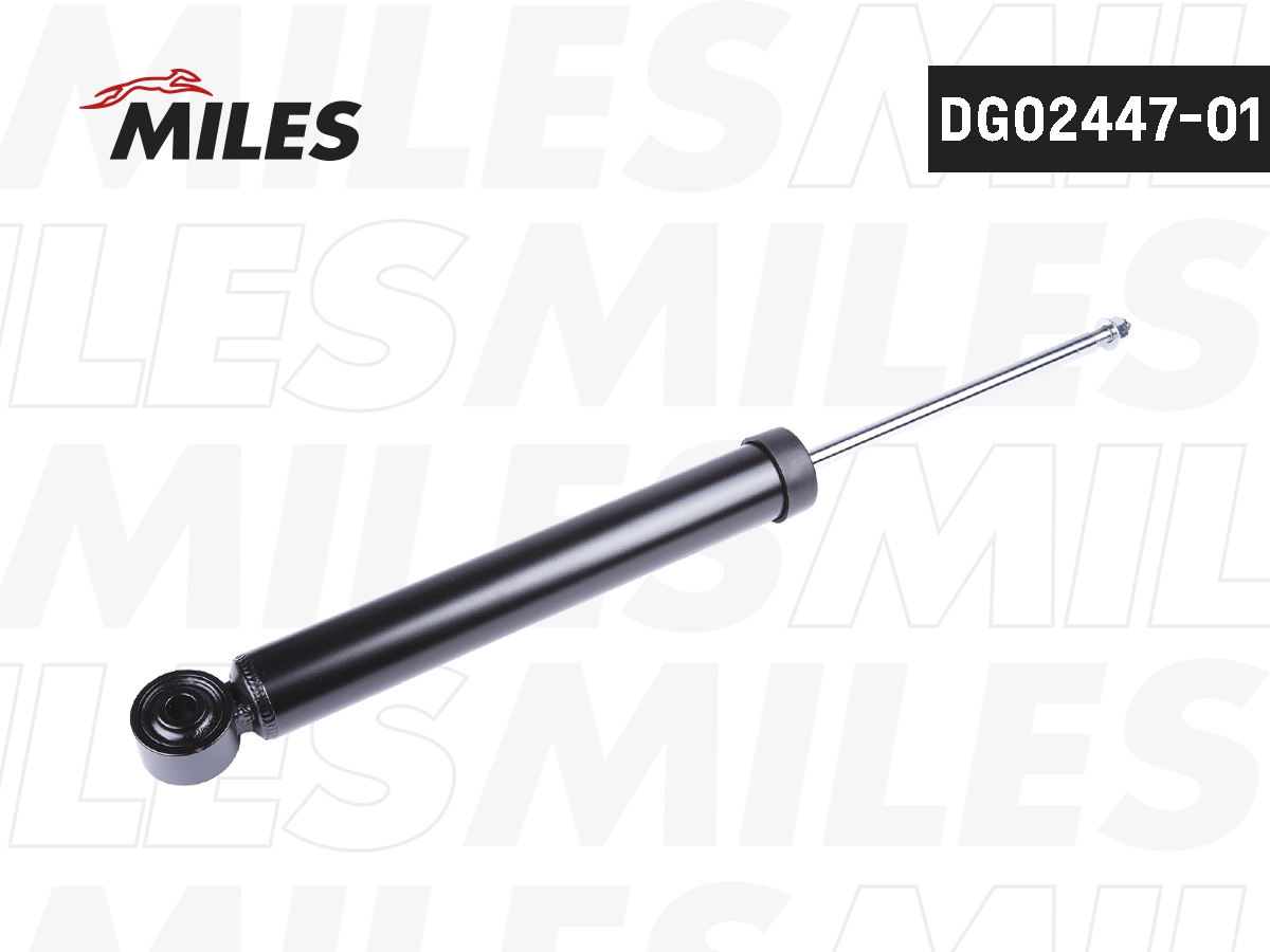 DG02447-01