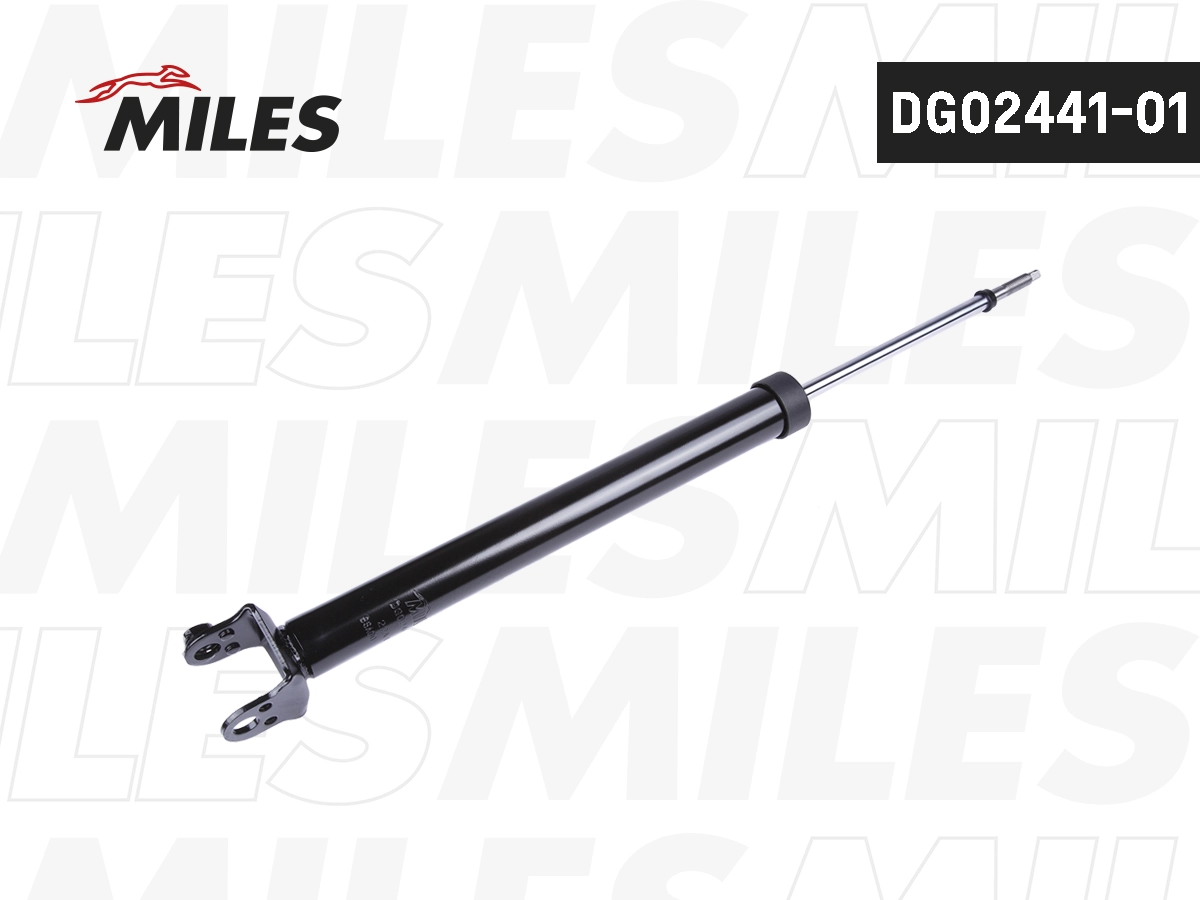 DG02441-01