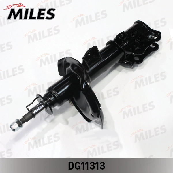 DG11313