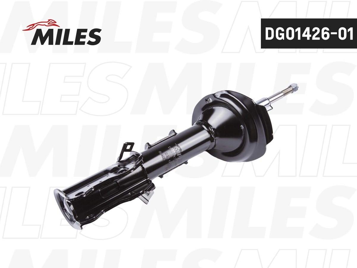 DG01426-01