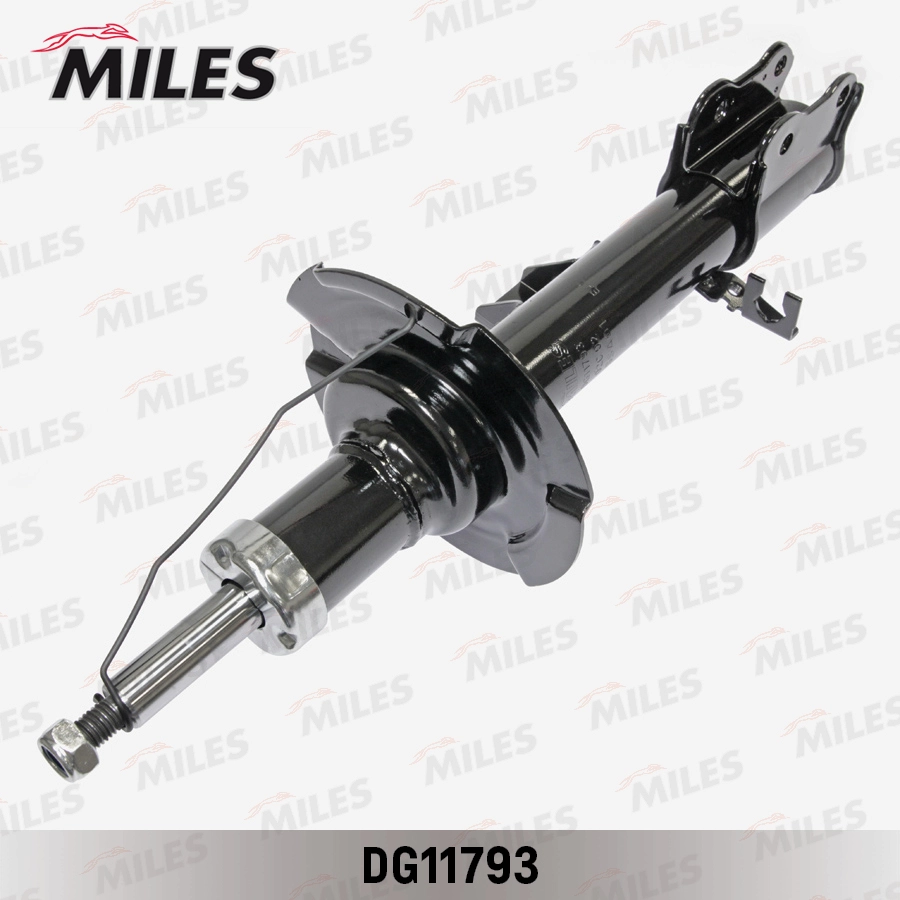 DG11793