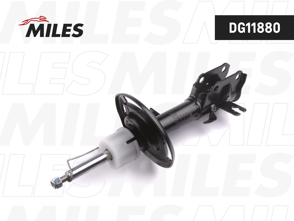 DG11880