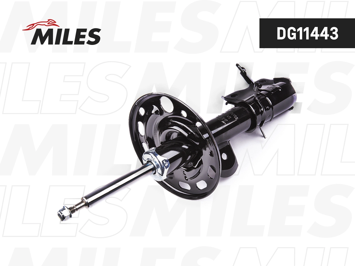 DG11443