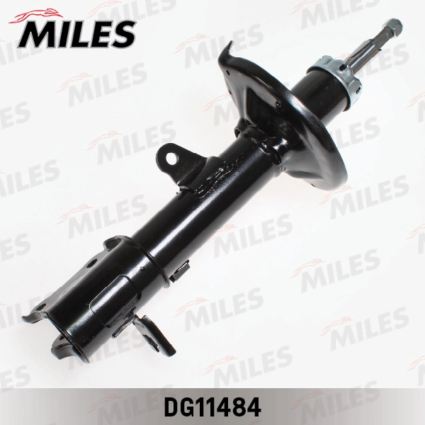 DG11484