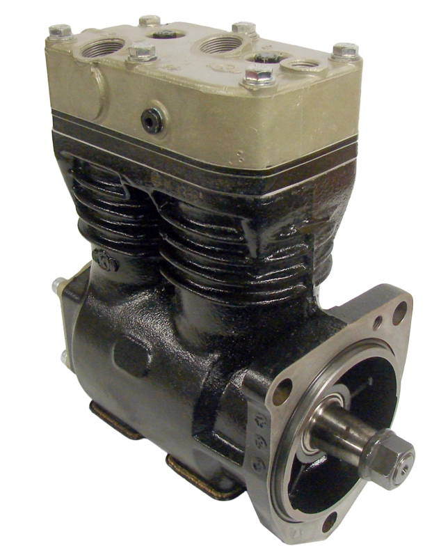 50033364