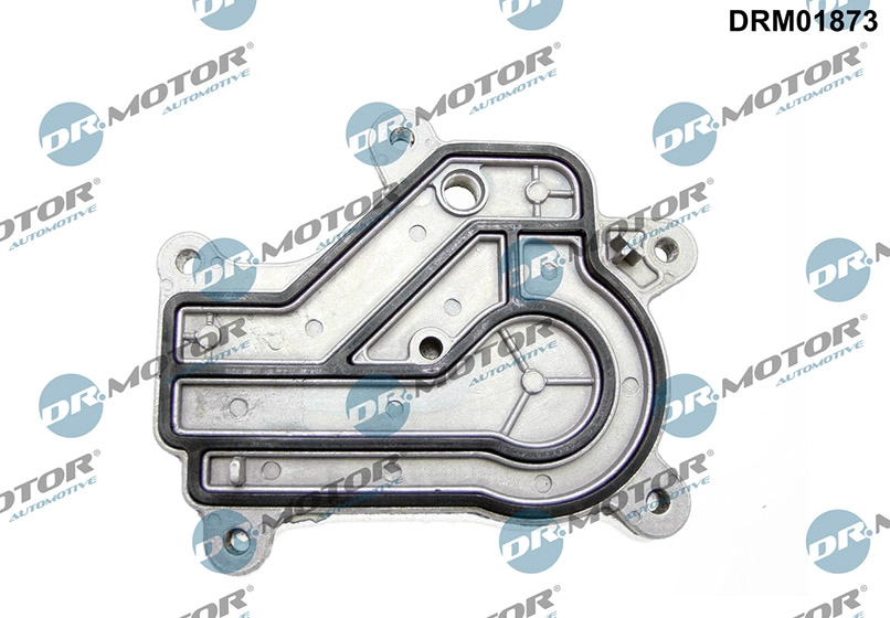DRM01873