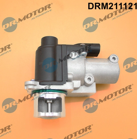 DRM211121