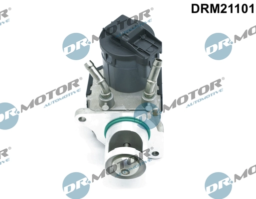 DRM21101