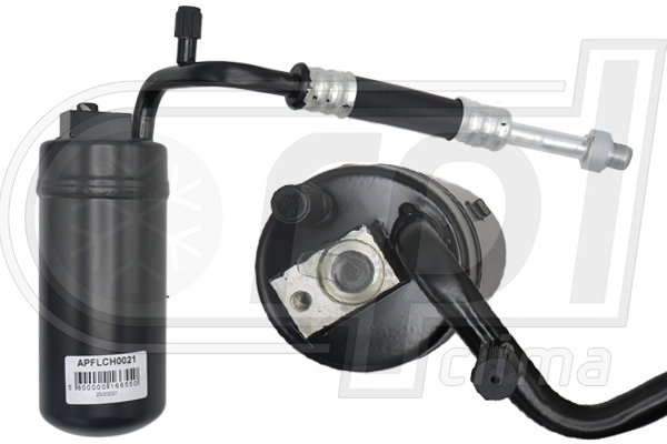APFLCH0021