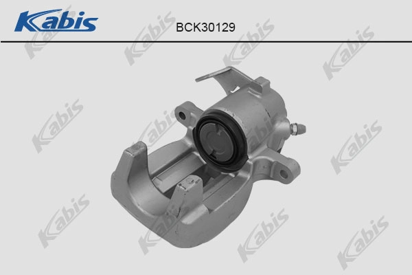 BCK30129