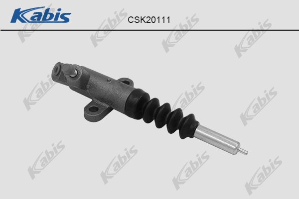CSK20111