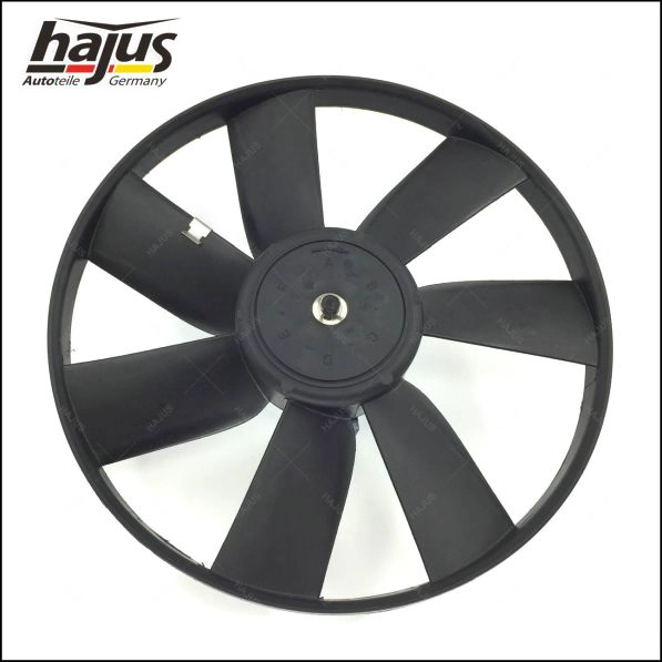 1HO959455A