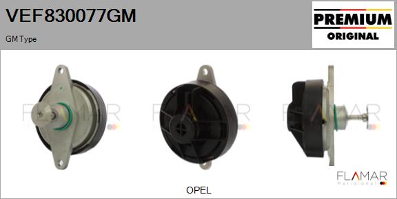 VEF830077GM