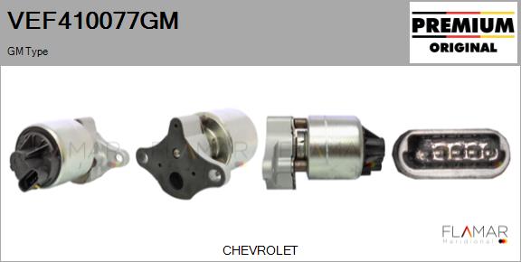 VEF410077GM