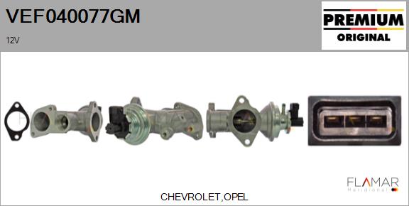 VEF040077GM