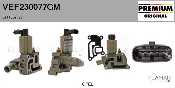 VEF230077GM