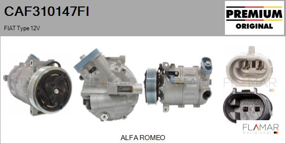 CAF310147FI