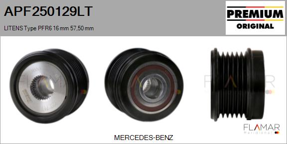 APF250129LT