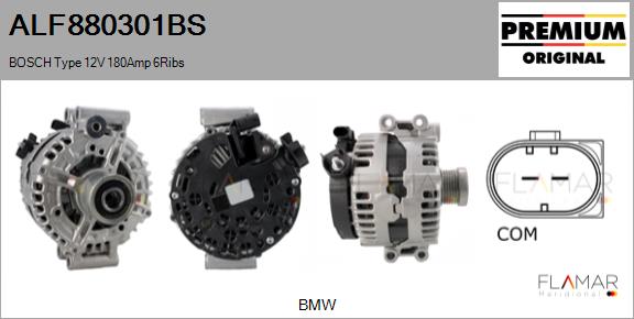 ALF880301BS