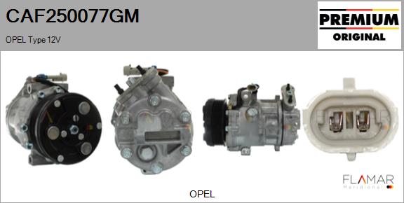CAF250077GM